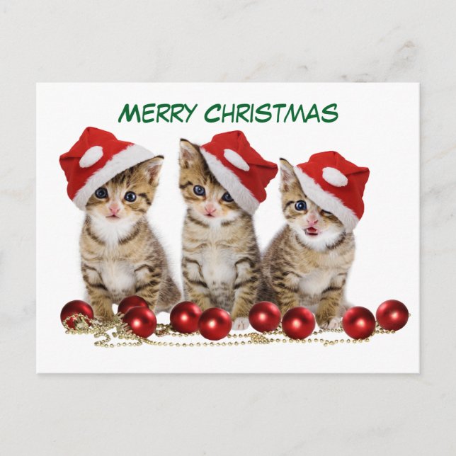 Cute Merry Christmas Kittens Holiday Postcard (Front)