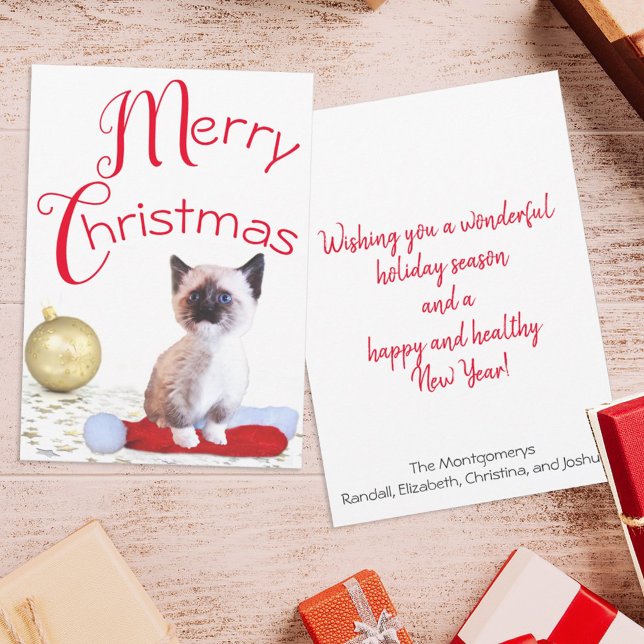 Cute Merry Christmas Siamese Kitten Santa Hat Holiday Card (Creator Uploaded)