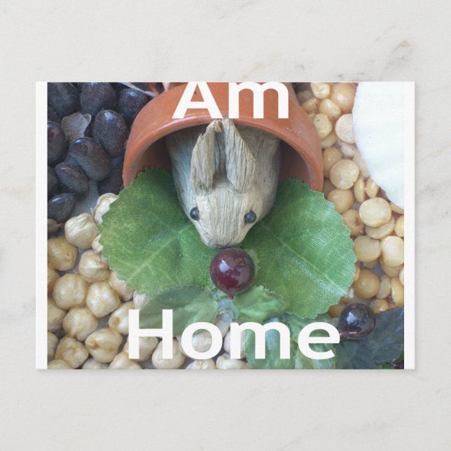 Cute Miniature Bunny Snacking Postcard (Front)