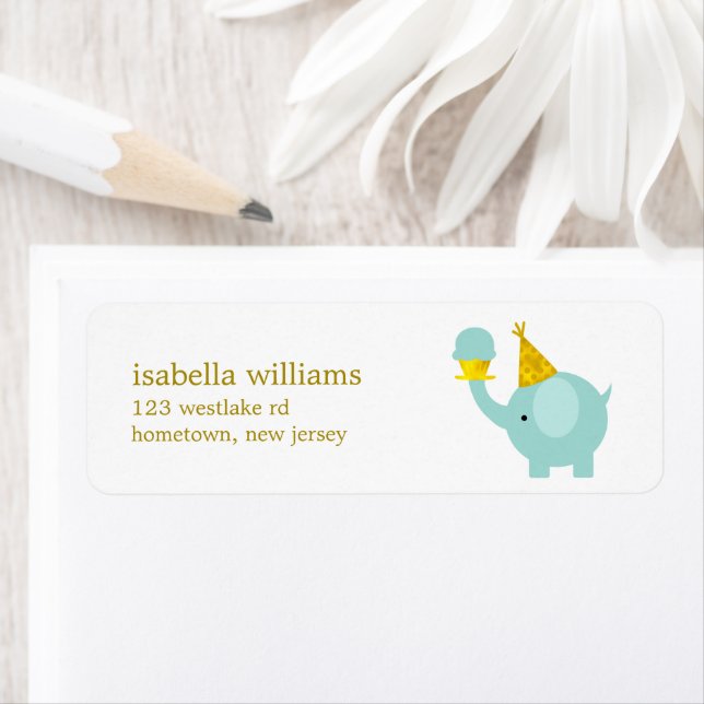 Cute Mint Green Elephant Birthday Party (Insitu)