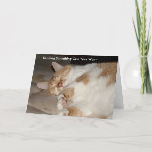 Cute miss and love you Cat Greeting Card