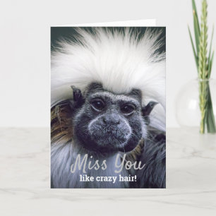 Cute Missing You Bad Hair Day Tamarin Monkey Card