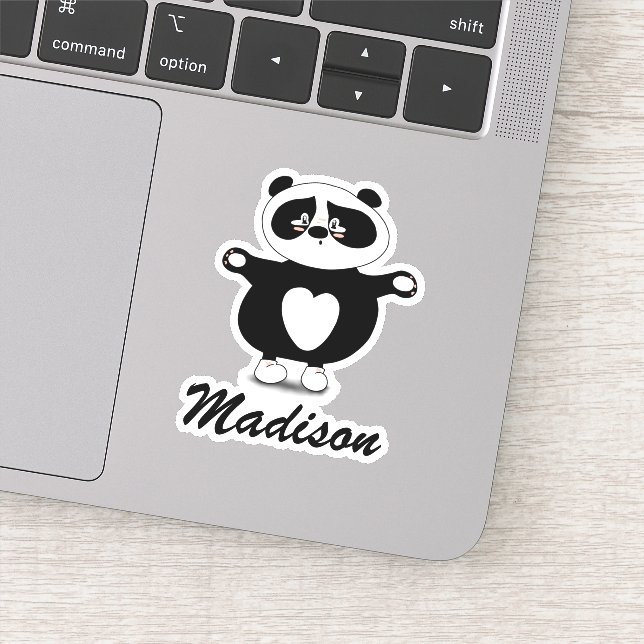 Cute Moderm Black and White Panda (Detail)