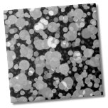Cute Modern Black White Circles Polka Dot Pattern Tile<br><div class="desc">Modern Funky Black White Circles Polka Dot Pattern Ceramic Tile. Everybody loves a polka dot pattern! This one has a bubble or lights look to it! Whether you want to use this tile as a little coaster or trivet for a drink or plate... or you want to go big with...</div>