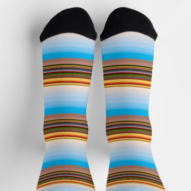 Cute modern colourful stripes  socks (Top)