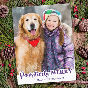Cute Modern Dog Lover Pet Photo Pawsitively Merry Holiday Postcard