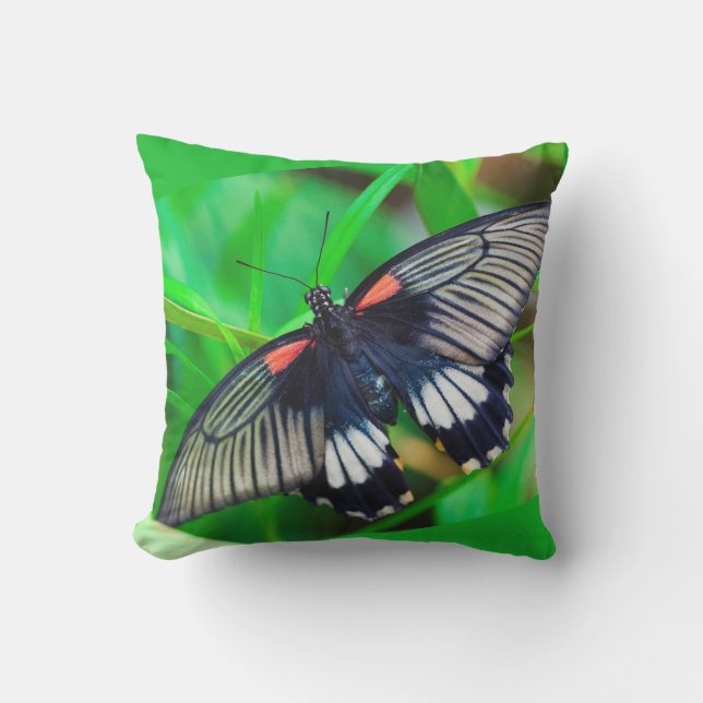 Cute Modern Photography Butterfly and Flower Cushion (Front)