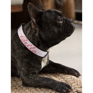 Cute Modern Pink Stripes Dog Puppy Doggy Name Pet Collar