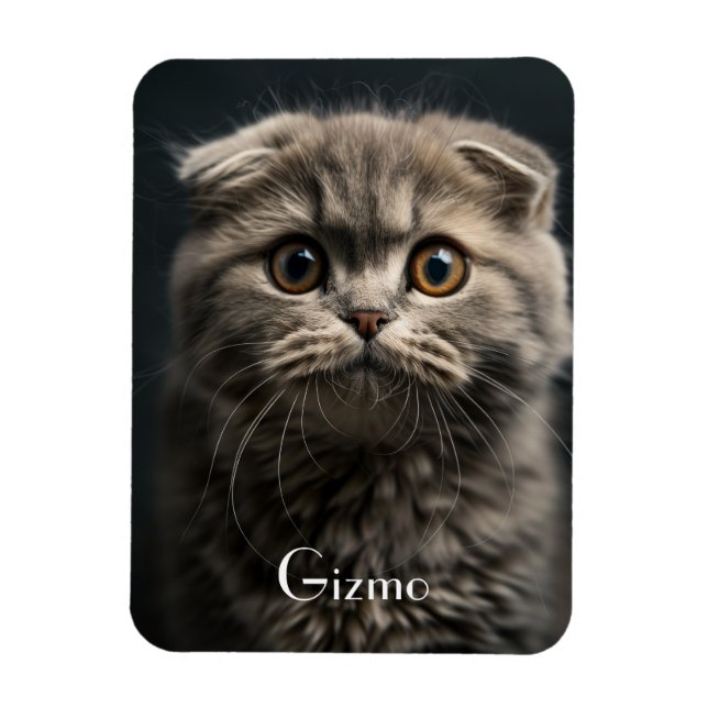 Cute Modern Refrigerator Cat Pet Photo Magnet (Vertical)