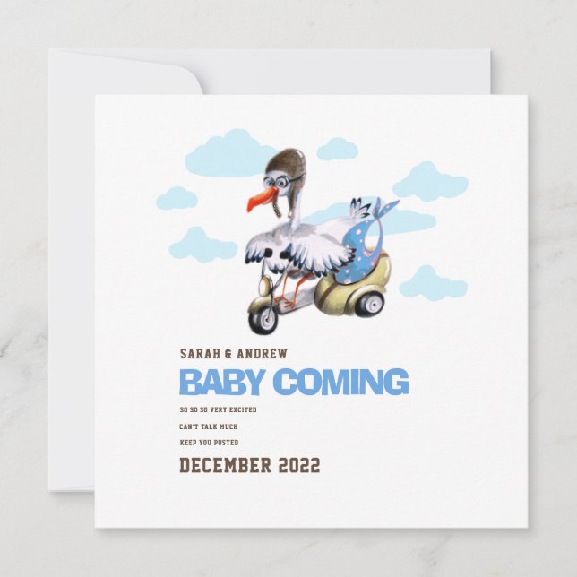 Cute Modern Whimsical Funny Stork  Pregnancy  Announcement (Front)