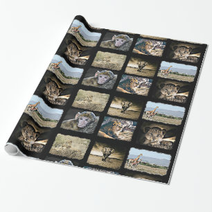 Cute Monkey, Lion and Giraffes Gift Wrap