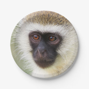 Cute monkey portrait paper plate