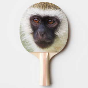 Cute monkey portrait ping pong paddle