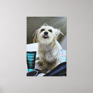 Cute Morkie Puppy Dog Funny 40" x 60" Canvas Print