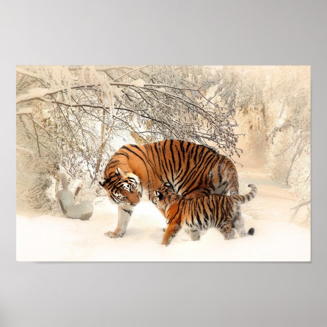 Cute Mother Tiger with Baby in Snow Poster (Front)