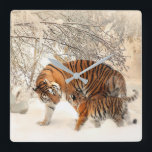 Cute Mother Tiger with Baby in Snow Square Wall Clock<br><div class="desc">Autumn Forest- This serene landscape picture of autumn leaves is sure to put a smile on your face.

autumn,  woods,  woodland,  forest,  trees,  fall,  case,  landscape,  nature</div>