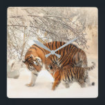 Cute Mother Tiger with Baby in Snow Square Wall Clock<br><div class="desc">Autumn Forest- This serene landscape picture of autumn leaves is sure to put a smile on your face.

autumn,  woods,  woodland,  forest,  trees,  fall,  case,  landscape,  nature</div>