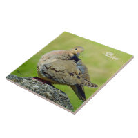Cute Mourning Dove Ceramic Tile
