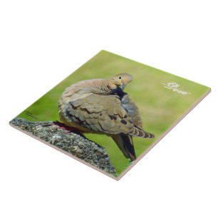 Cute Mourning Dove Ceramic Tile