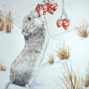 cute mouse snow scene winter wildlife