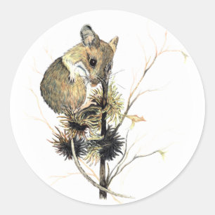 Cute Mouse Sticker