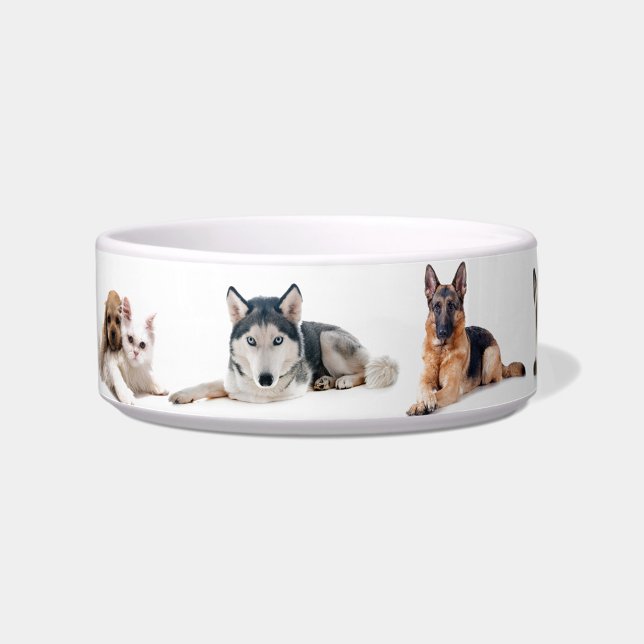 Cute Multi‑Pet Illustrated Ceramic Bowl ("Cute Pet Portrait Bowl")