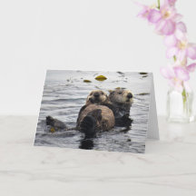 Cute Mum and Pup Sea Otters