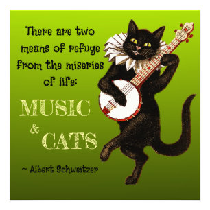 Cute Musical Cat Two Means of Refuge Schweitzer Photo Print