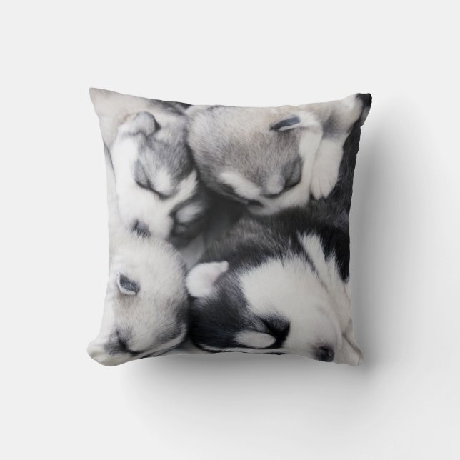 cute n cuddly husky pups pillow (Front)