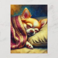 Cute Napping Chihuahua | Keeping in Touch