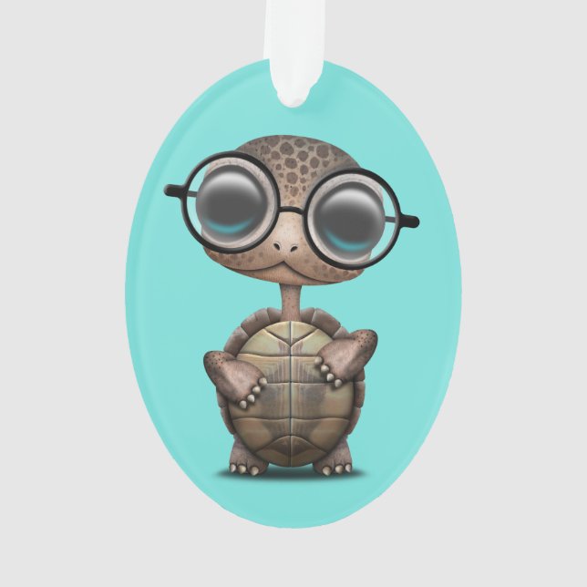 Cute Nerdy Turtle Wearing Glasses Ornament (Back)