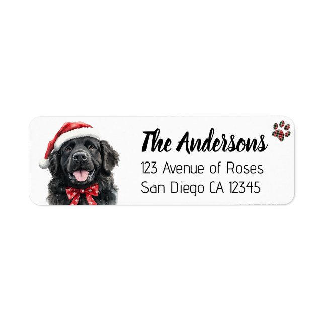 Cute Newfoundland Dog with Santa Hat (Front)
