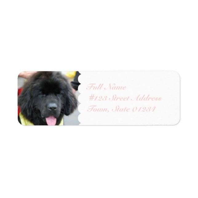 Cute Newfoundland Mailing Labels (Front)
