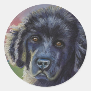Cute Newfoundland Puppy Dog Art - Classic Round Sticker