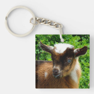 Cute Nigerian Dwarf Dairy Goat Kid Key Ring