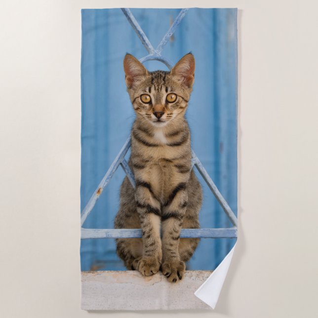 Cute Nosy Tabby Cat Kitten Sitting in a Blue Fence Beach Towel (Front)