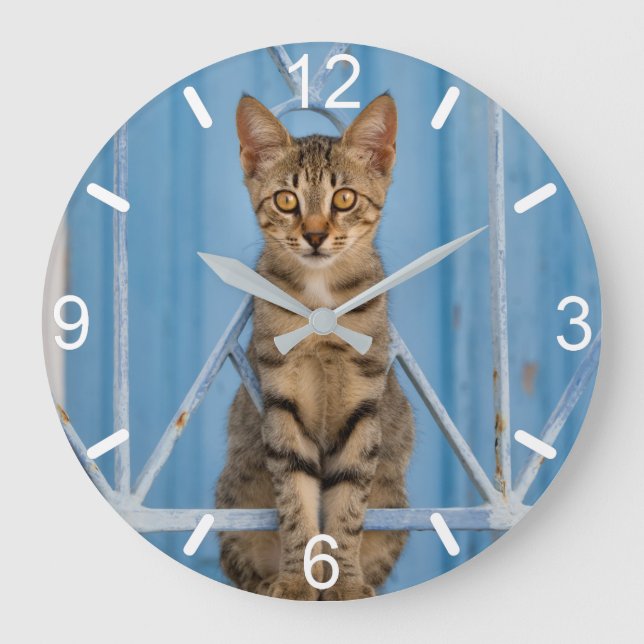 Cute Nosy Tabby Cat Kitten Sitting in a Blue Fence Large Clock (Front)