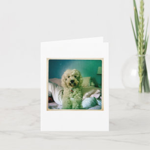 Cute Notecard Goldendoodle