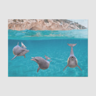 Cute Ocean Dolphin Lover Sealife Ocean  Tissue Paper