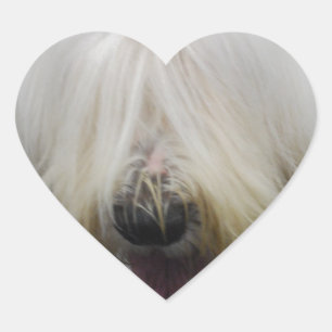 Cute Old English Sheepdog Stickers