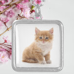 Cute Orange Kitten Photo  Silver Plated Necklace<br><div class="desc">Show off your love for furry friends with this adorable custom necklace featuring a sweet orange kitten photo. Set in a shiny silver-tone frame with a matching chain, this charming piece makes a purr-fect gift for cat lovers, pet moms, or anyone who adores cute and cuddly companions. Whether worn as...</div>