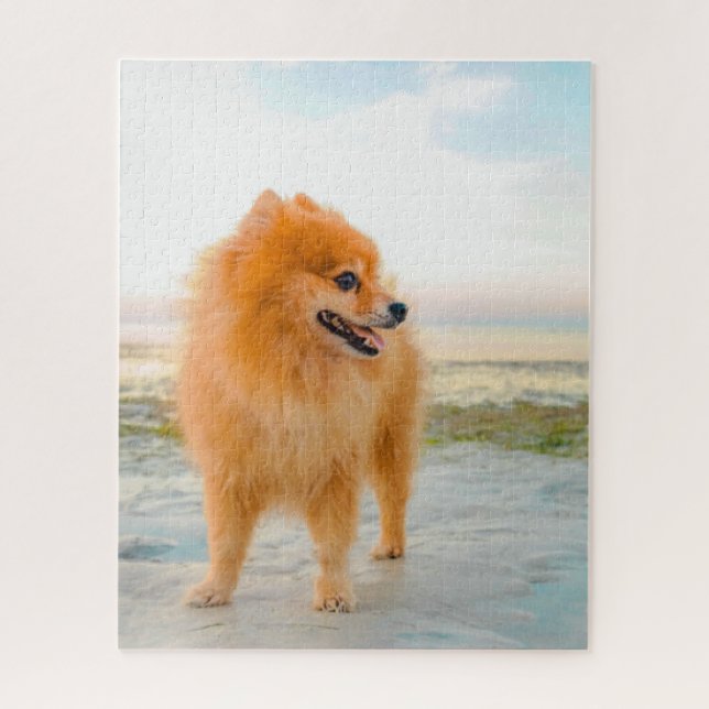 Cute Orange Pomeranian on Beach Sunshine Summer Jigsaw Puzzle (Vertical)