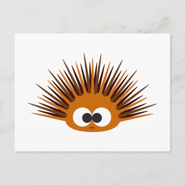 Cute Orange Sea Urchin Postcard (Front)