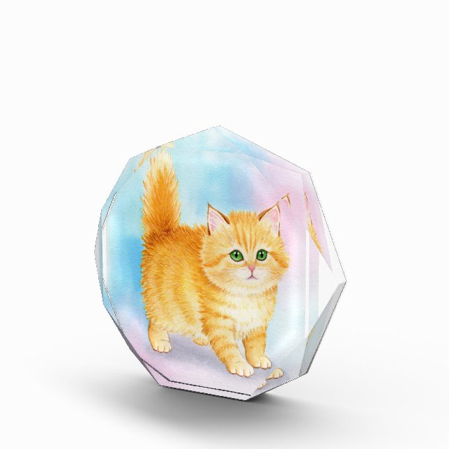Cute Orange Tabby Cat Photo Block (Right)
