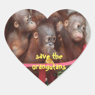 Cute Orangutan Babies Heart Sticker