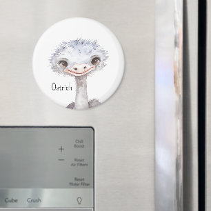 Cute Ostrich Animals Magnet