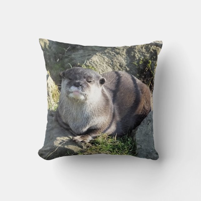 CUTE OTTER CUSHION (Front)