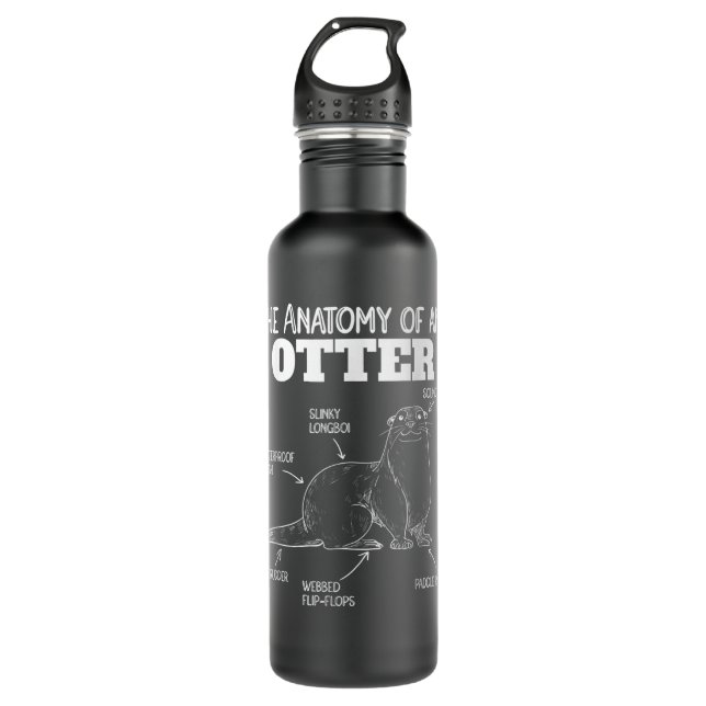 Cute Otter Explanation Anatomy Of An Otter  710 Ml Water Bottle (Front)