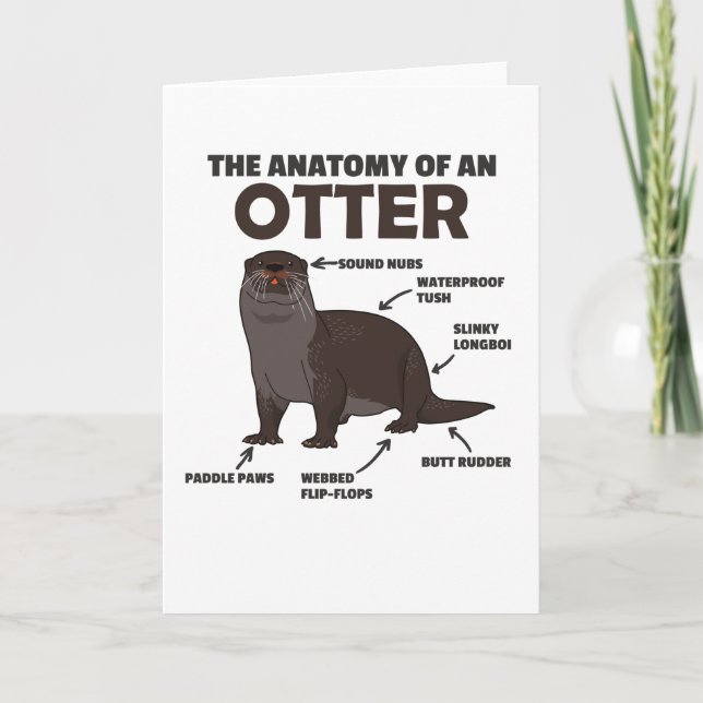Cute Otter Explanation Anatomy Of An Otter Card (Front)