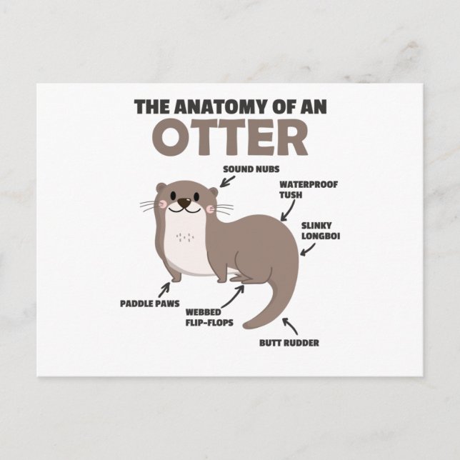 Cute Otter Explanation Anatomy Of An Otter Postcard (Front)